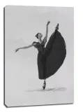 balet-balerina-obraz-na-plotnie-30x40-cm