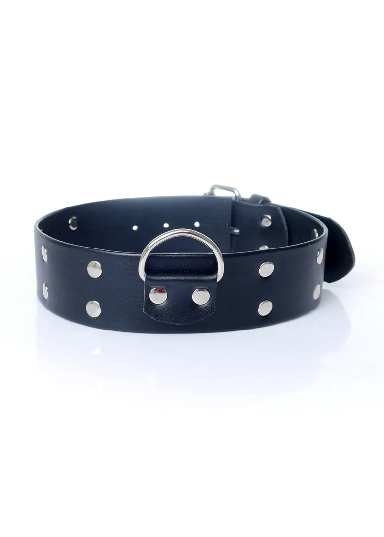 fetish-b-series-collar-with-studs-4-cm