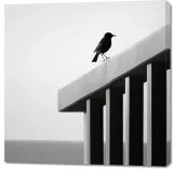 obraz-100x100cm-samotna-odchlan