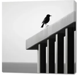 obraz-100x100cm-samotna-odchlan