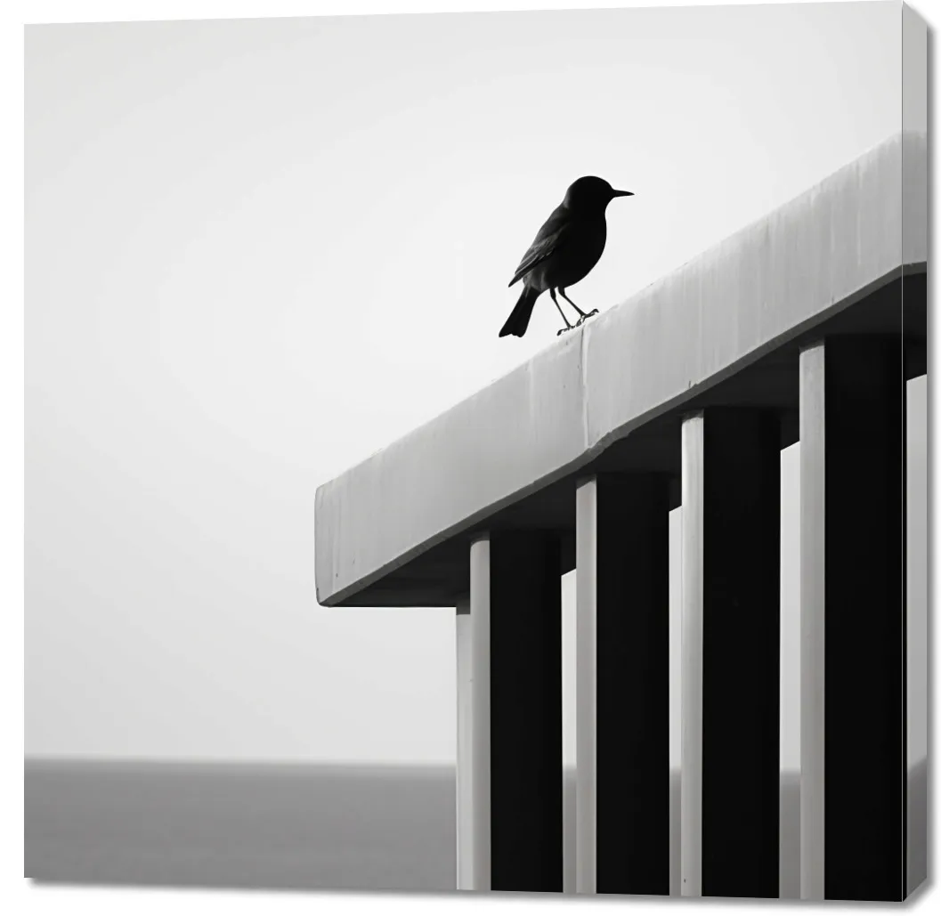 obraz-100x100cm-samotna-odchlan