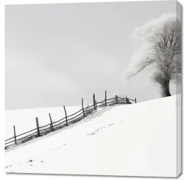 obraz-100x100cm-samotnosc-zimy-przy-plocie