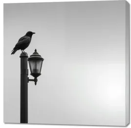 obraz-100x100cm-samotny-postoj-kruka