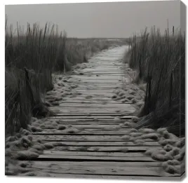 obraz-100x100cm-sciezka-ciszy-wydm