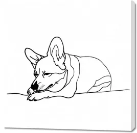 obraz-100x100cm-spiacy-corgacz