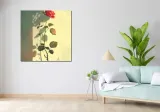 obraz-100x100cm-subtelnosc-stan-nowy