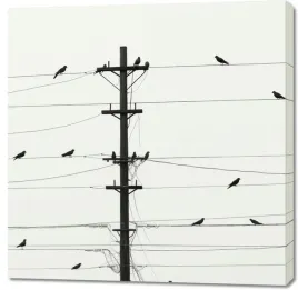 obraz-100x100cm-symfonia-na-drutach