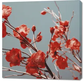 obraz-100x100cm-szkarlatna-wiosna