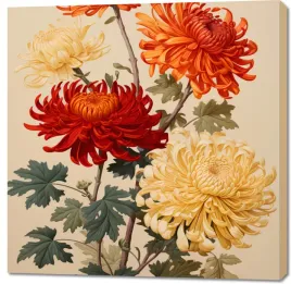 obraz-100x100cm-tanczace-chryzantemy