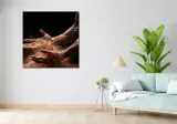 obraz-100x100cm-taniec-ziemi-stan-nowy