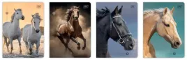 zeszyt-a5-16k-kratka-70g-uv-wild-horses-20szt
