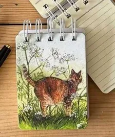 kolonotes-a7-ssn33-kot-na-lace