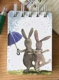 kolonotes-a7-ssn47-kroliki-w-deszczu