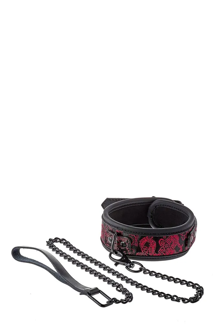 blaze-deluxe-collar-and-leash