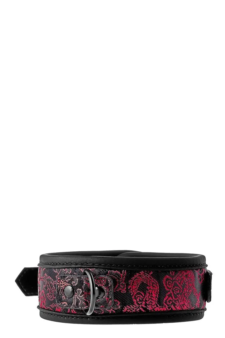 blaze-deluxe-collar-and-leash