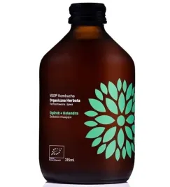 vigo-kombucha-ogorek-kolendra-bio-315-ml