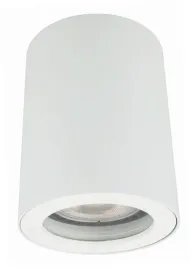 lampa-sufitowa-natynkowa-tuba-ip65-biala-do-lazienki-h88-cm