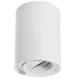 lampa-sufitowa-natynkowa-tuba-kierunkowa-biala-h115-cm