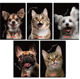 zeszyt-a5-60k-kratka-z-marginesem-animals-10szt