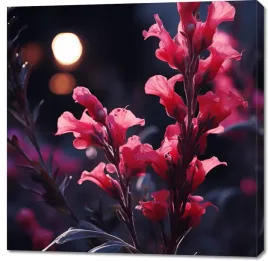 obraz-100x100cm-wieczorny-blask