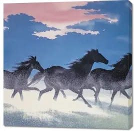 obraz-100x100cm-wolnosc-i-swoboda