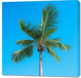 obraz-100x100cm-wyzyny-nieba