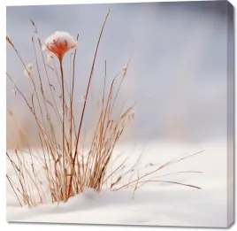 obraz-100x100cm-zima-w-detalach