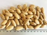 migdaly-blanszowane-1-kg-migdal-marka-old-farm