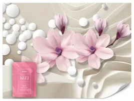 fototapeta-na-sciane-do-salonu-magnolie-kwiaty-kule-abstrakcja-3d-400x280