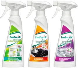 ludwik-plyn-do-czyszczenia-kuchenki-lodowki-stali-nierdzewnej-3-x-250-ml
