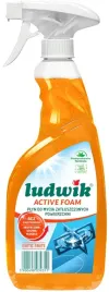 ludwik-aktywna-piana-plyn-do-mycia-zatluszczonych-powierzchni-bio-600ml