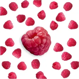 malina-liofilizowana-cala-maliny-liofilizowane-cale-100g-polska