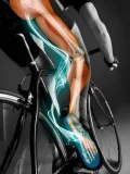 shimano-buty-sh-rc503-42-bialy-przeznaczenie-szosowe