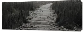 obraz-100x40cm-sciezka-ciszy-wydm