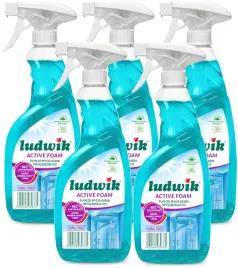 ludwik-active-foam-plyn-do-mycia-kabin-prysznicowych-floral-violet-600ml-x5