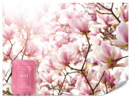 fototapeta-do-sypialni-salonu-rozowe-magnolie-kwiaty-natura-wzor-3d-500x350