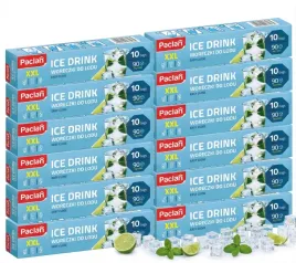 woreczki-do-lodu-paclan-xxl-duze-kostki-samozamykajace-1080-szt