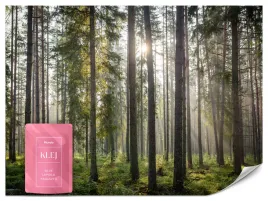 fototapeta-do-sypialni-salonu-las-wschod-slonca-natura-pejzaz-3d-350x256