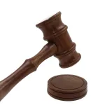 mlotek-sedziowski-wh170-material-wykonania-drewno