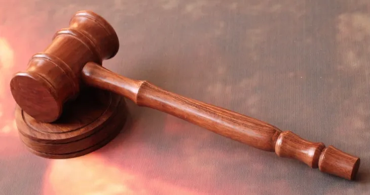 mlotek-sedziowski-wh170-kolor-brazowy-material-wykonania-drewno