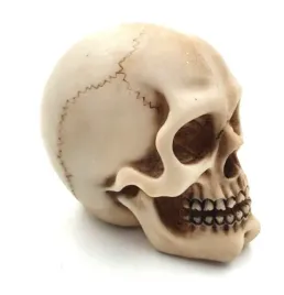 czaszka-wys-7cm-mc-30683