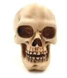 czaszka-wys-7cm-mc-30683-stan-nowy