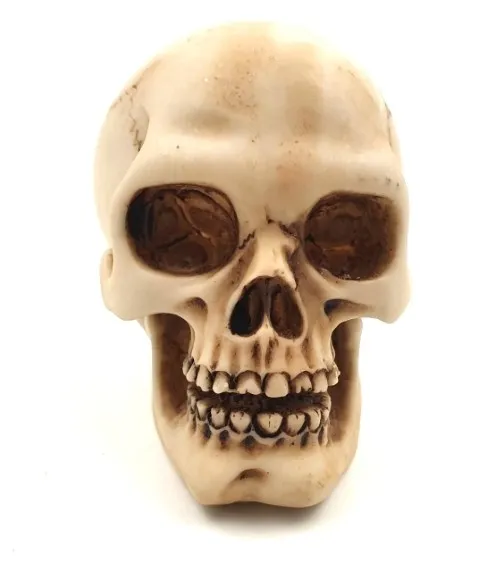 czaszka-wys-7cm-mc-30683