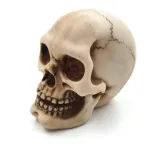 czaszka-wys-7cm-mc-30683-okazja-upominek-uniwersalny