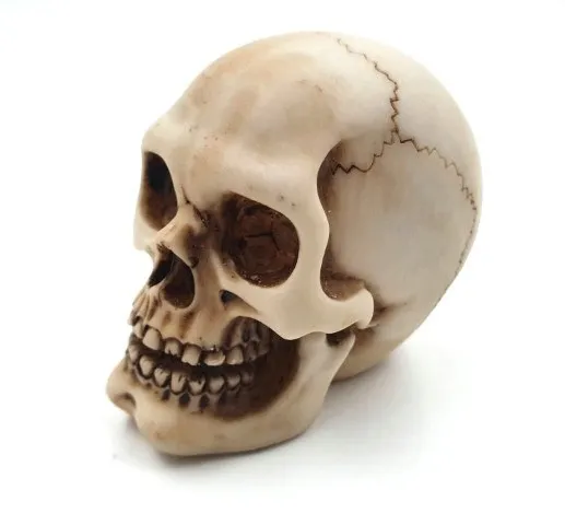 czaszka-wys-7cm-mc-30683-rodzaj-gadzetu-dekoracje