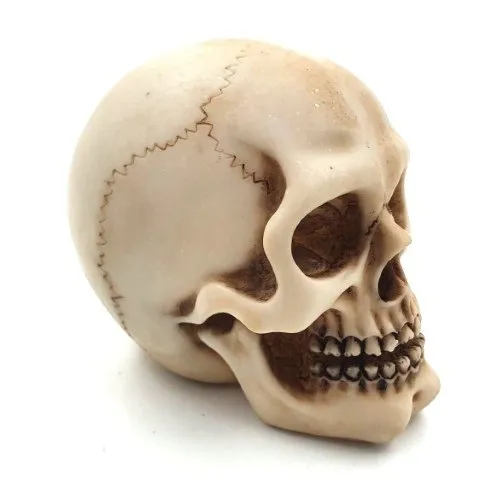 czaszka-wys-7cm-mc-30683-marka-giftdeco