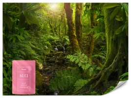 fototapeta-do-salonu-sypialni-zielony-las-natura-rosliny-pejzaz-3d-150x105