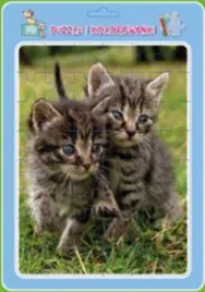puzzle-w-ramce-z-kolorowanka-koty