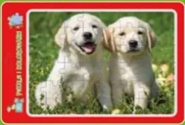 puzzle-w-ramce-z-kolorowanka-szczeniaczki