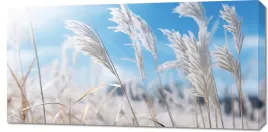obraz-100x50cm-szum-miedzy-trawa